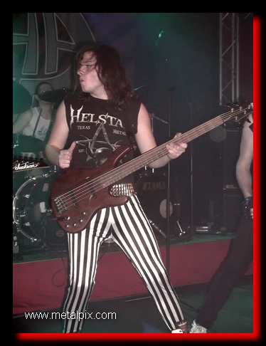 alpha tiger_007